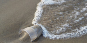 Mare_Adriatico_inquinamento